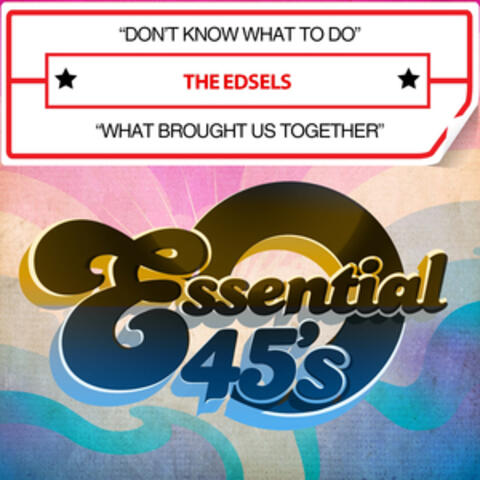 Don't Know What to Do / What Brought Us Together (Digital 45)