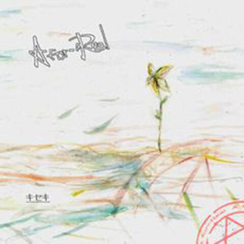 Miracle - Single