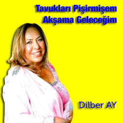 Tavukları Pişirmişem / Akşama Geleceğim