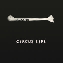 Circus Life (Radio Edit)