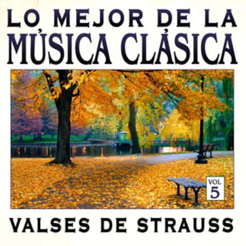 Música Clásica Vol.5: Valses de Strauss