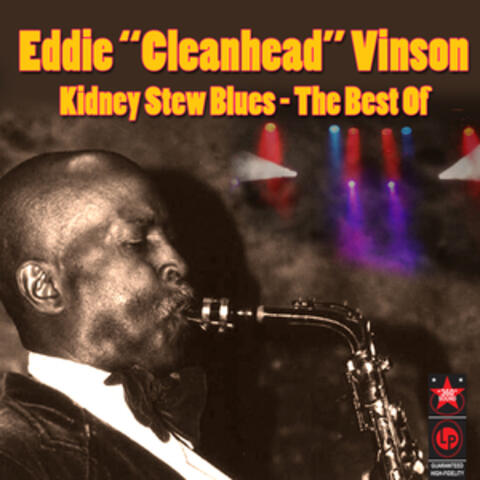 Kidney Stew Blues - The Best Of