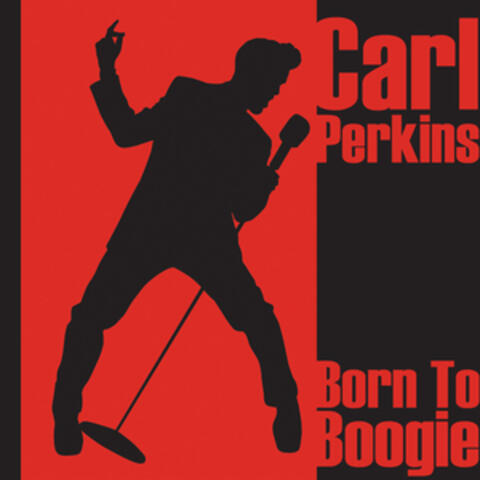 Born To Boogie