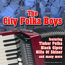 Hills of Shiner Polka