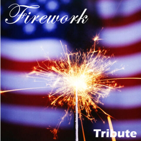 Firework Masters