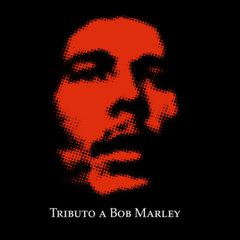 Is This Love (Bob Marley)