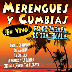 Oho Aha (Bobby The Flobby) [Merengue Version]