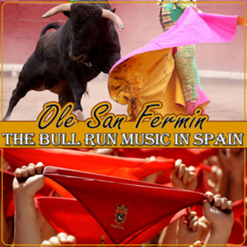 The Bull Run Music in Spain. Ole San Fermin