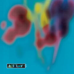 Untitled 2