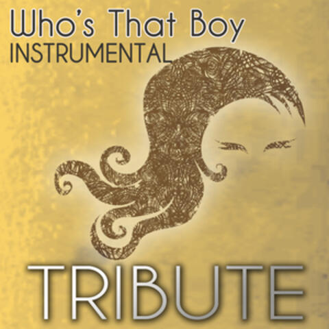 Who's That Boy (Demi Lovato feat. Dev Tribute) - Single Instrumental
