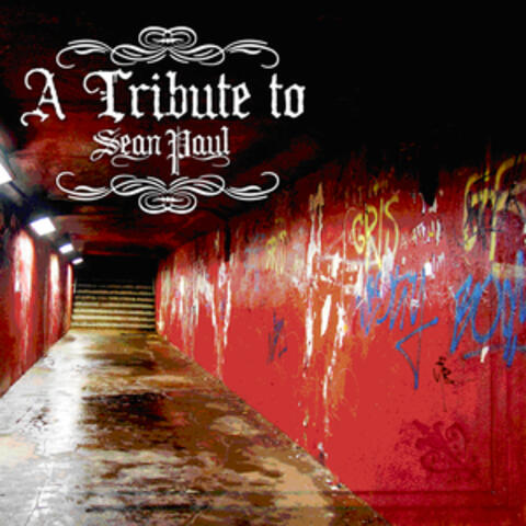 A Tribute To Sean Paul