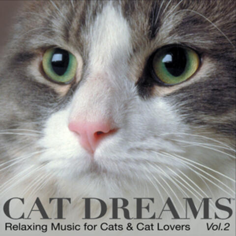 CAT DREAMS - Relaxing Music for Cats & Cat lovers Vol.2