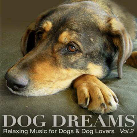 DOG DREAMS - Relaxing Music for Dogs & Dog Lovers Vol.2
