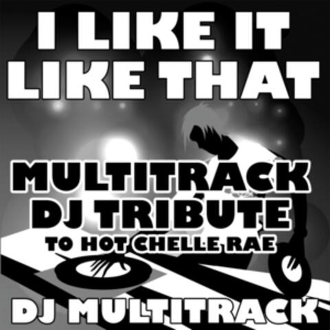 I Like It Like That (Multitrack DJ Tribute to Hot Chelle Rae)