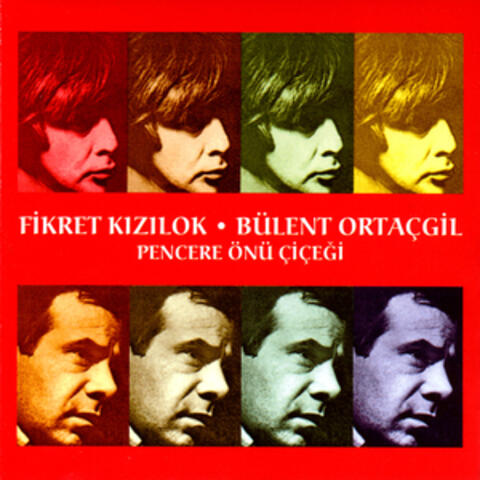 Pencere Önü Çiçeği