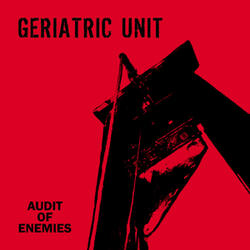 Audit Of Enemies