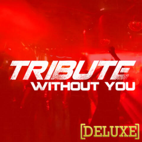 Without You (David Guetta feat. Usher Tribute) - Deluxe Single