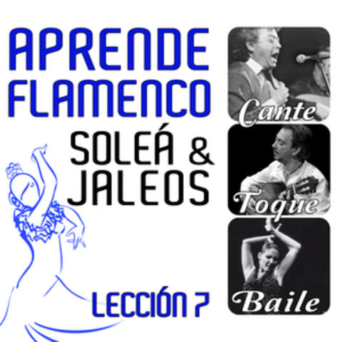 Aprende Flamenco. Soleá y Jaleos. Lección 7