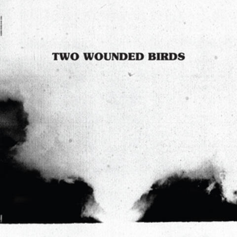 Two Wounded Birds