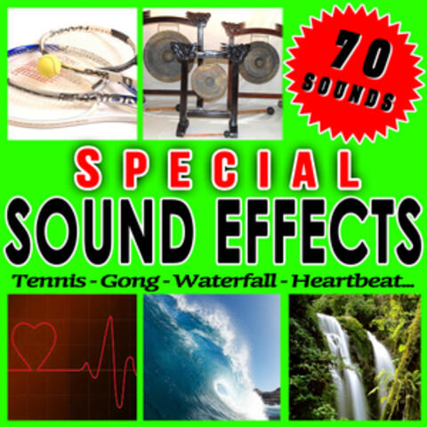 Sfx Professional Resource Studio