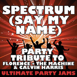 Spectrum (Say My Name) [Party Tribute to Florence + the Machine & Calvin Harris]