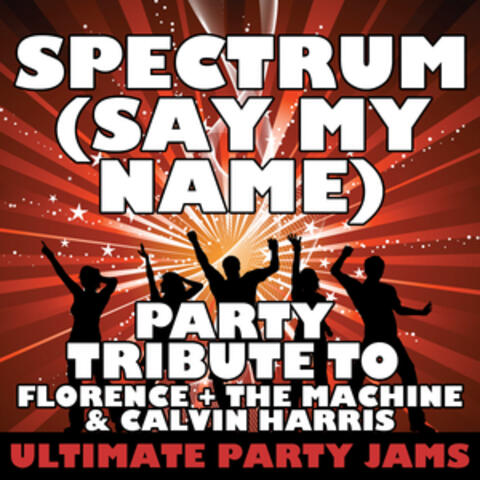 Spectrum (Say My Name) [Party Tribute to Florence + the Machine & Calvin Harris] - Single