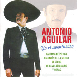 Alma de Acero