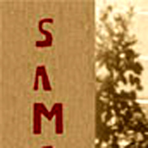 Samsara's Grip