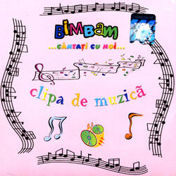 Clipa De Muzica / Musical Moment (Negative)