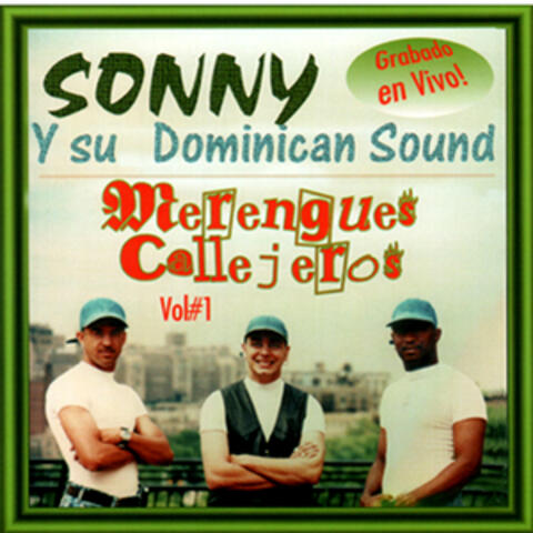 Merengue Callejeros Vol #1