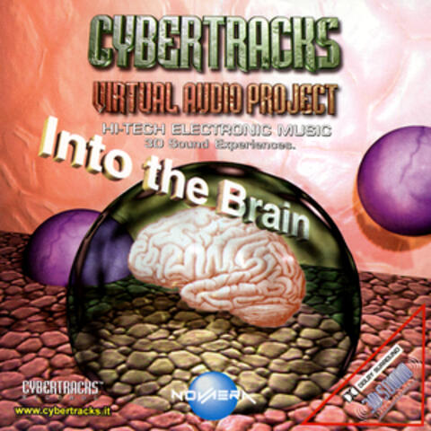 Into The Brain