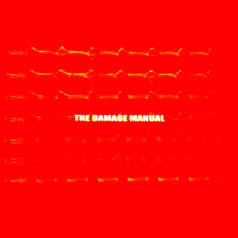 The Damage Manual