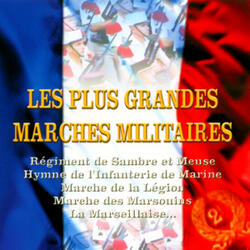 Marche Des Marsouins