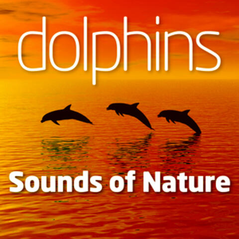 Dolphins