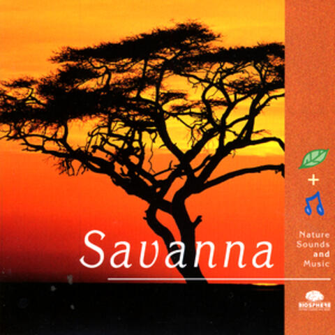 Savanna
