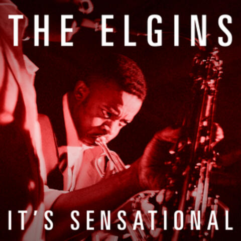 The Elgins