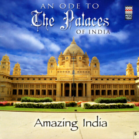 An Ode To The Palaces of India