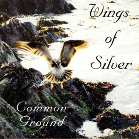 Wings Of Silver