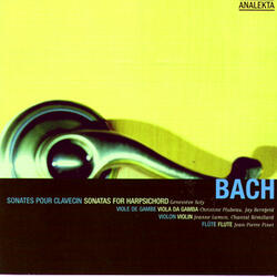 Sonata III In G Minor, For Obbligato Harpsichord And Viola Da Gamba (BWV 1029): III. Allegro (Bach)