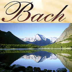 Concierto De Brandemburgo Nº 3 En Sol Mayor,Bwv 1048"Allegro" -  Bach
