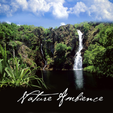 Nature Ambience