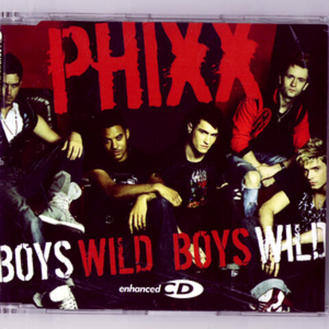 Wild Boys (Mixes)