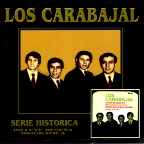Serie Histórica
