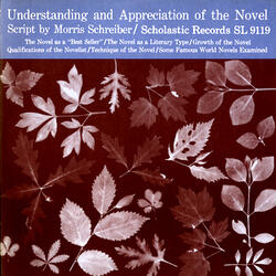 The Novel as a Literary Type