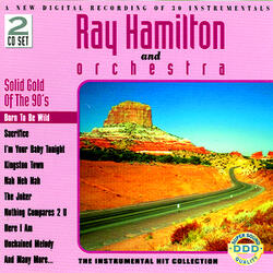 I've Been Thinking 'bout You - Instrumental Cover