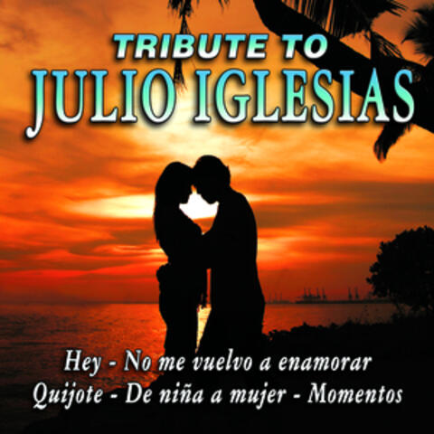 Covers Like Julio Iglesias