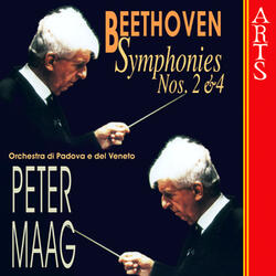 Symphony No. 4 Op. 60 In B Flat Major: IV. Allegro Ma Non Troppo