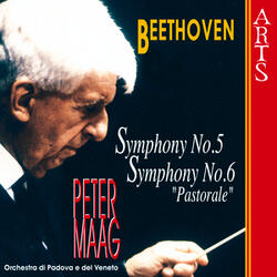 Symphony No. 5 Op. 67 In C Minor: II. Andante Con Moto