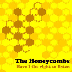 Have I The Right (Rerecorded)