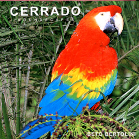 CERRADO   (Savanna)